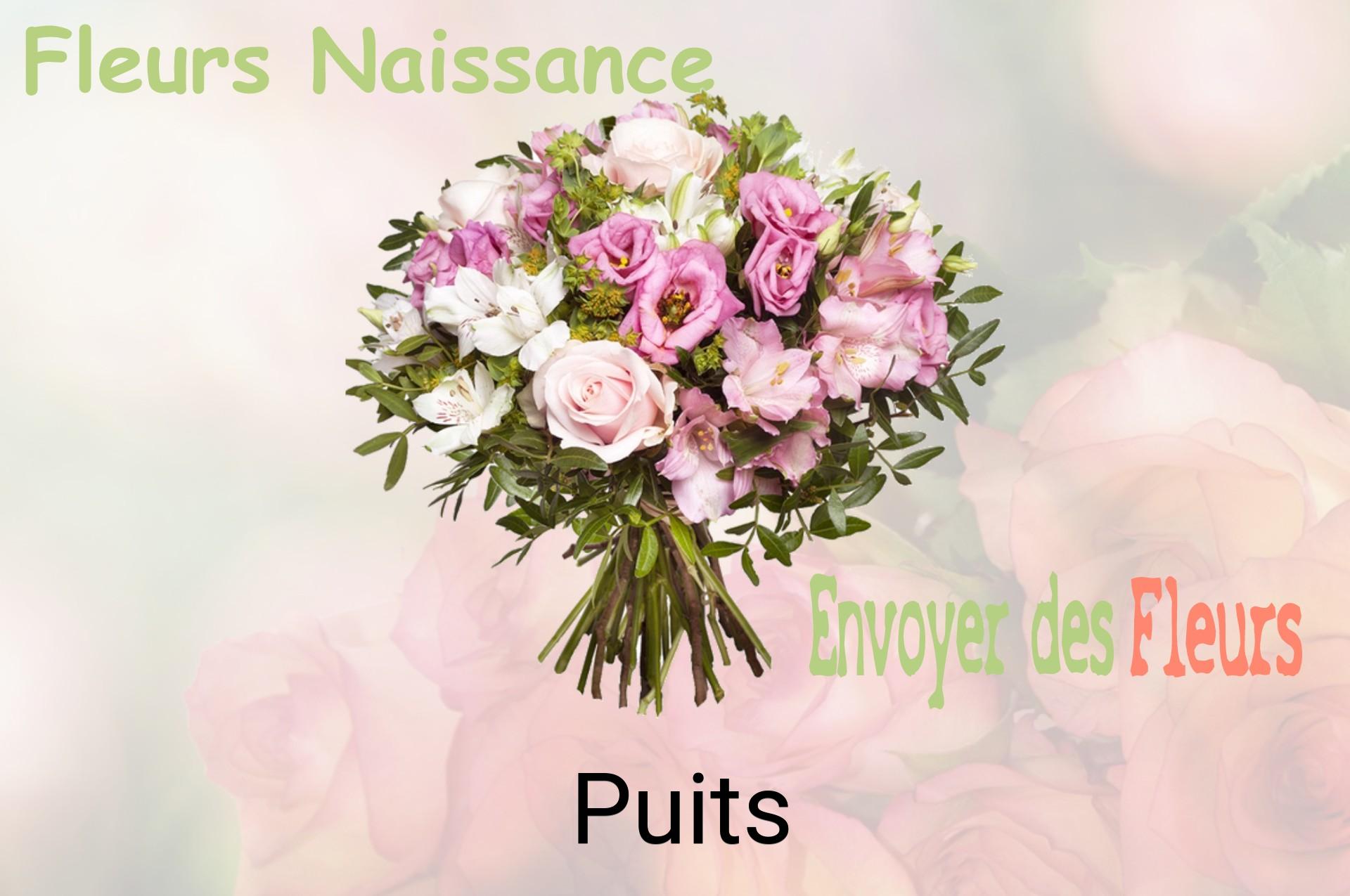 Bouquet de fleurs de naissance livré à Puits
