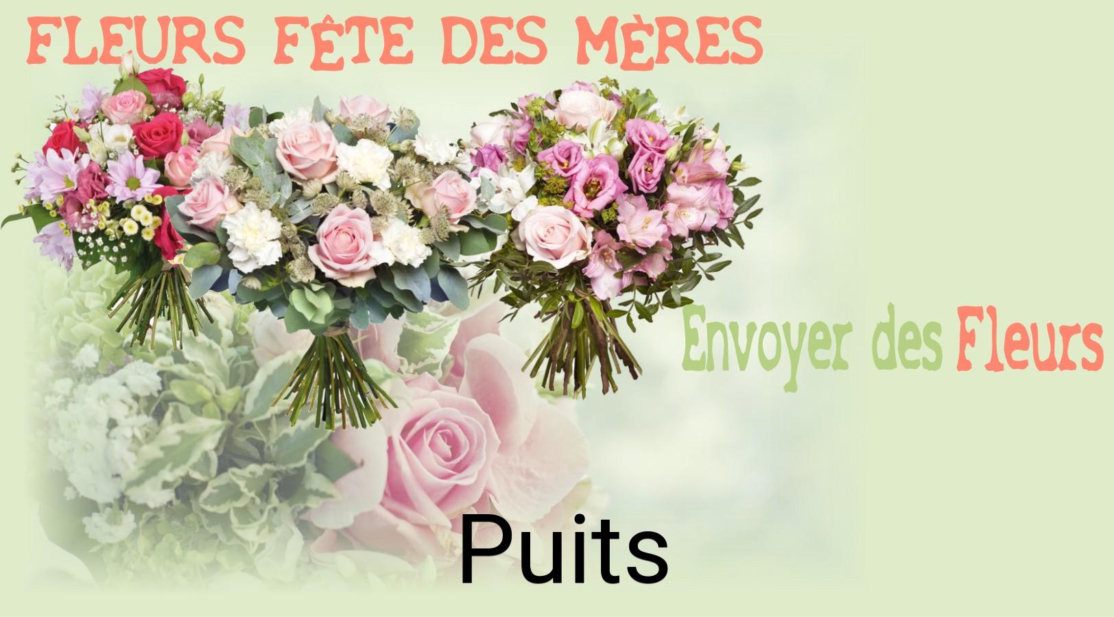 Bouquet de Fête des Mères livré à Puits